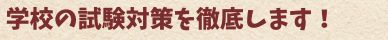 学校の試験対策を徹底します。